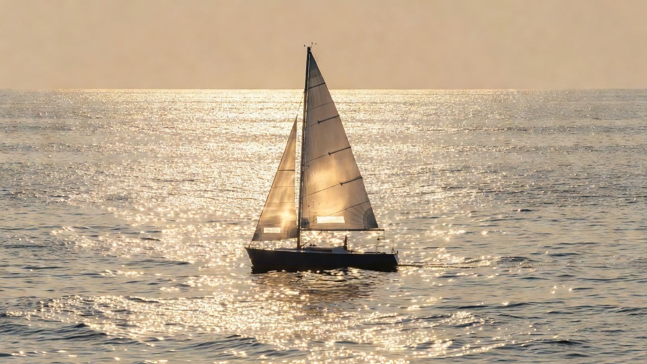 A small white sail glowing translucent against a low sun, the dinghy's hull dark against shimmering water